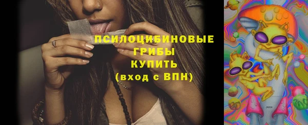 бошки Алзамай